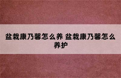 盆栽康乃馨怎么养 盆栽康乃馨怎么养护